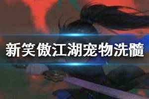 《新笑傲江湖》变异宠物怎么洗 变异宠物洗髓玩法