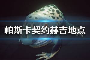 《帕斯卡契约》赫吉在哪 青蛙赫吉地点大全