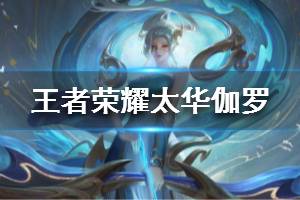 《王者荣耀》太华伽罗皮肤 鼠年限定皮肤局外展示