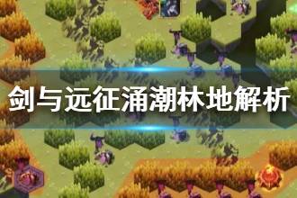 《剑与远征》涌潮林地解析 涌潮林地过法攻略