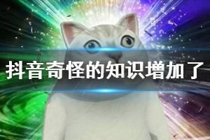 抖音奇怪的知识增加了是什么梗 MUR猫表情包出处无水印表情包大全汇总