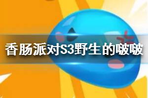 《香肠派对》S3野生的啵啵介绍 野生啵啵有什么用
