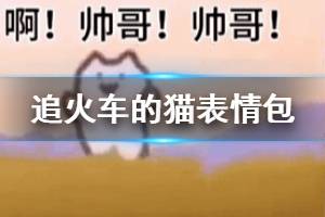 抖音追火车的猫表情包大全一览 追火车的猫叫什么出处表情包