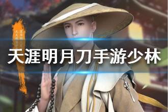 《天涯明月刀》少林门派怎么样 少林职业技能属性介绍