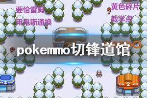 《pokemmo》神奥切锋冰系道馆走法 切锋冰系道馆BOSS打法