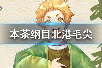 《本茶纲目》北港毛尖资料 北港毛尖背景故事介绍