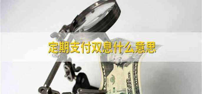 定期支付双息什么意思