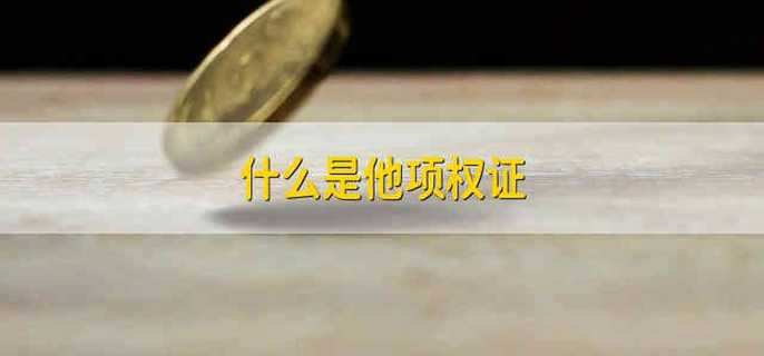 什么是他项权证