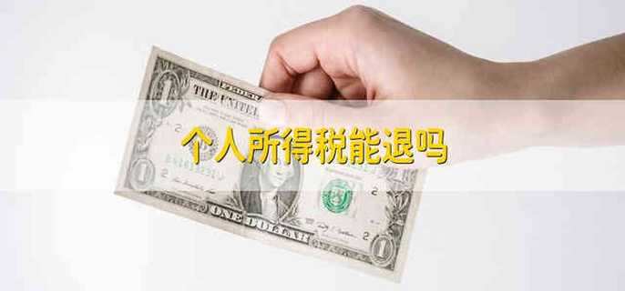 个人所得税能退吗