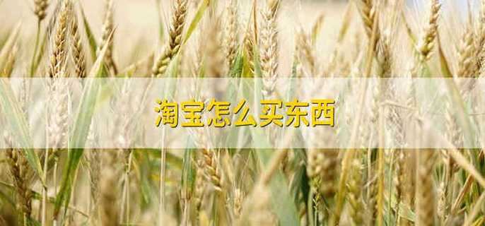 淘宝怎么买东西 在淘宝上应该怎么买东西