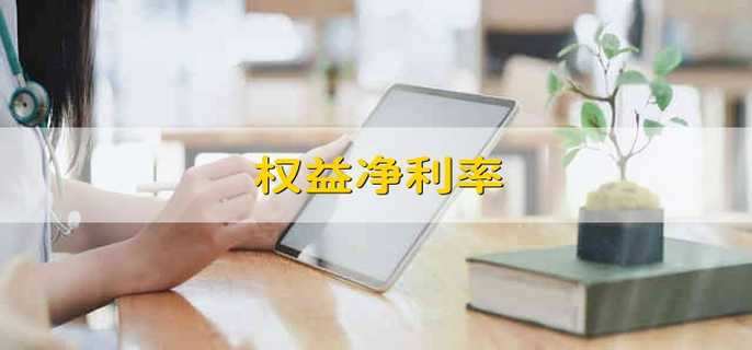 权益净利率 净资产收益率是什么