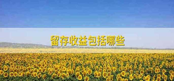 留存收益包括哪些 留存收益包含哪些内容