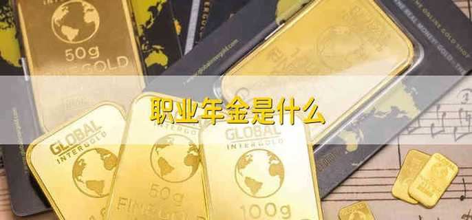 职业年金是什么