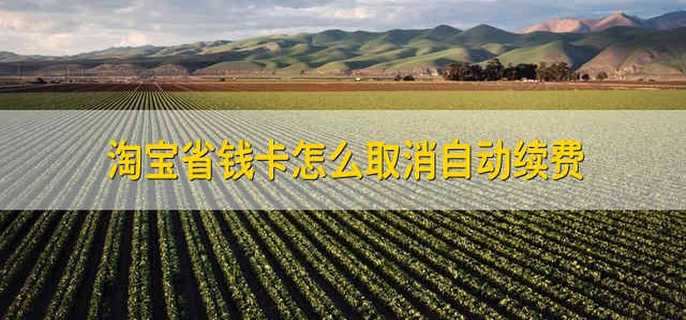 淘宝省钱卡怎么取消自动续费 怎么取消自动续费的淘宝省钱卡