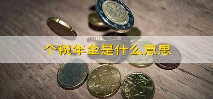 个税年金是什么意思