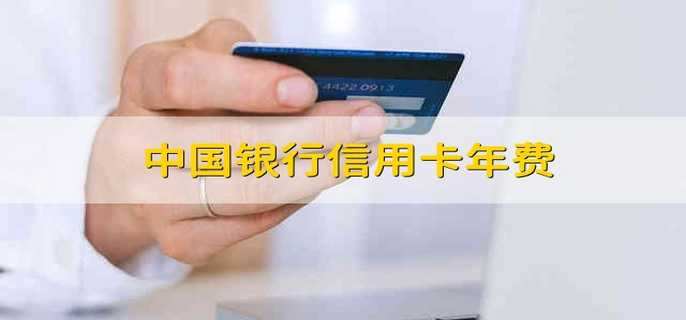 中国银行信用卡年费 中国银行的信用卡年费标准