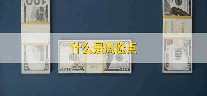 什么是风险点