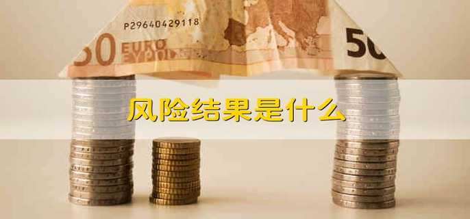 风险结果是什么