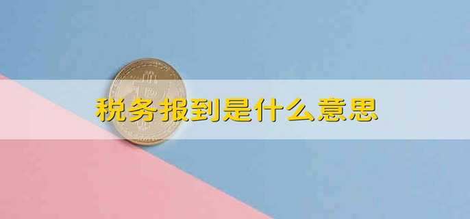 税务报到是什么意思