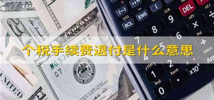个税手续费退付是什么意思