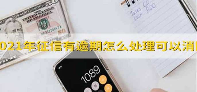 2021年征信有逾期怎么处理可以消除 2021年征信有逾期记录怎么消除