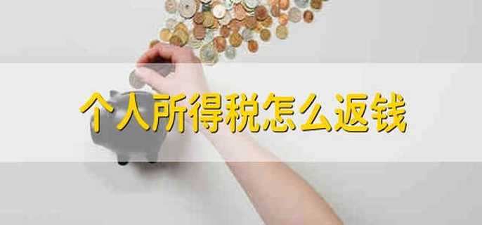 个人所得税怎么返钱