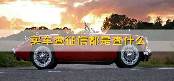 买车查征信都是查什么