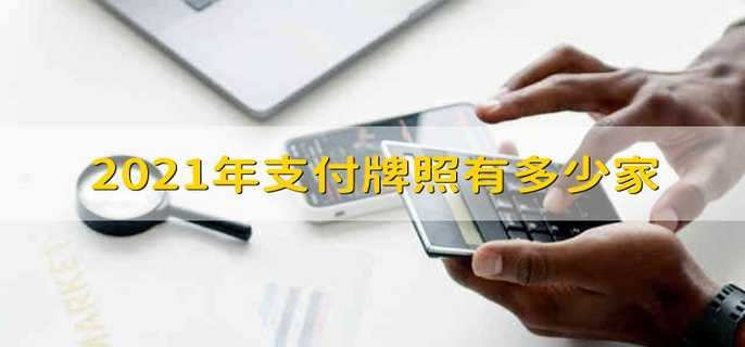 2021年支付牌照有多少家 支付牌照机构有几家