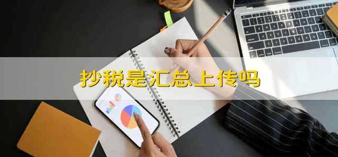 抄税是汇总上传吗