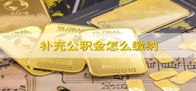 补充公积金怎么缴纳