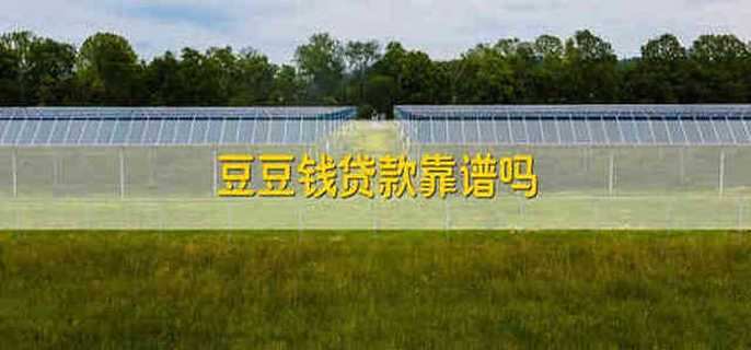 豆豆钱贷款靠谱吗 豆豆钱贷款靠不靠谱