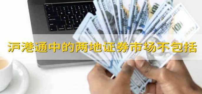 沪港通中的两地证券市场不包括