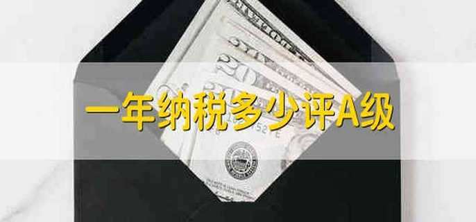 一年纳税多少评A级