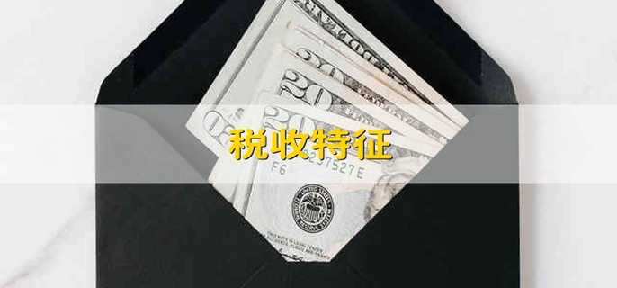 税收特征