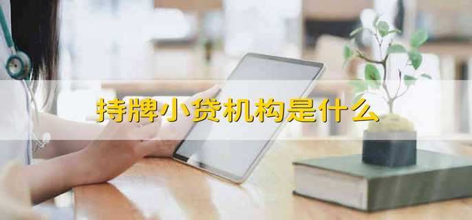 持牌小贷机构是什么