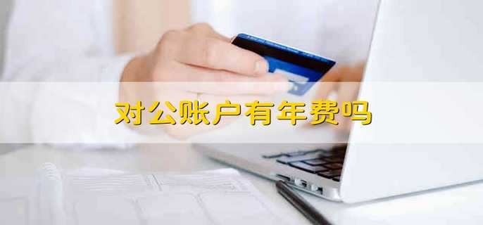 对公账户有年费吗