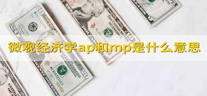 微观经济学ap和mp是什么意思