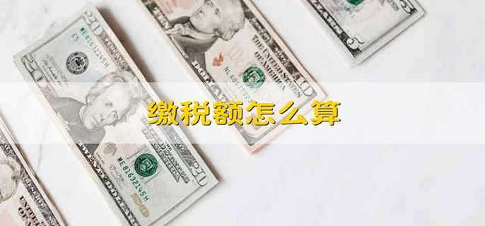 缴税额怎么算