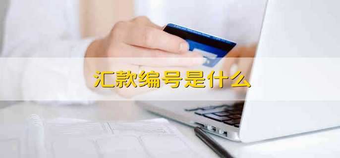 汇款编号是什么