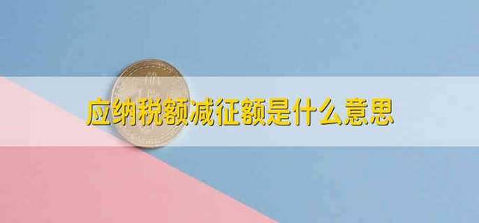应纳税额减征额是什么意思