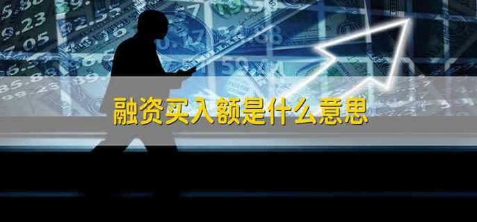 融资买入额是什么意思