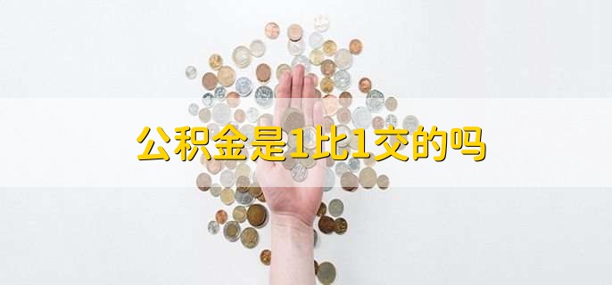 公积金是1比1交的吗