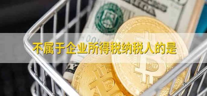 不属于企业所得税纳税人的是