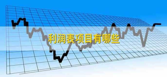 利润表项目有哪些
