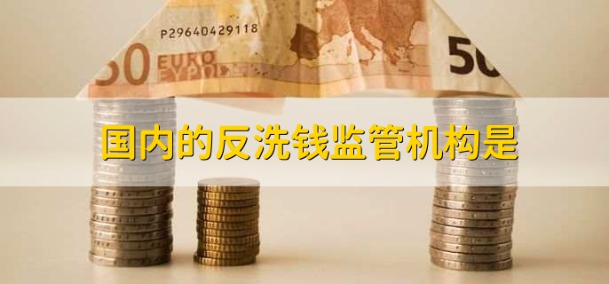 国内的反洗钱监管机构是