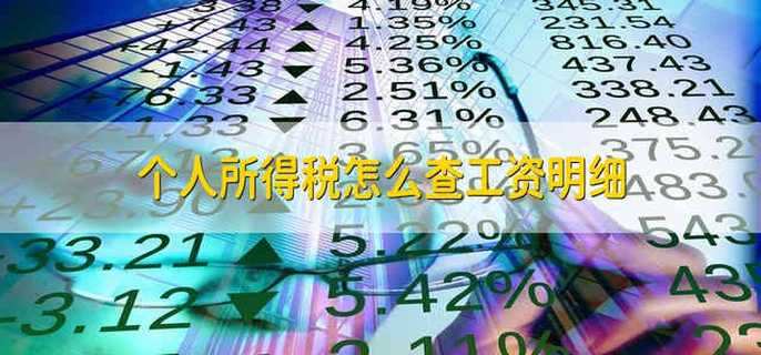 个人所得税怎么查工资明细