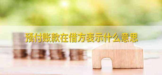 预付账款在借方表示什么意思