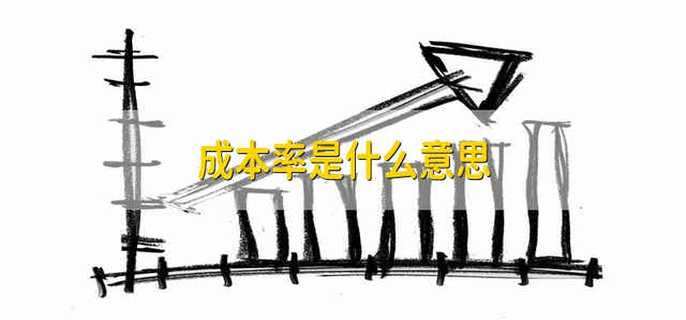成本率是什么意思