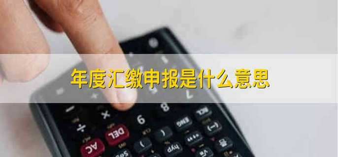 年度汇缴申报是什么意思