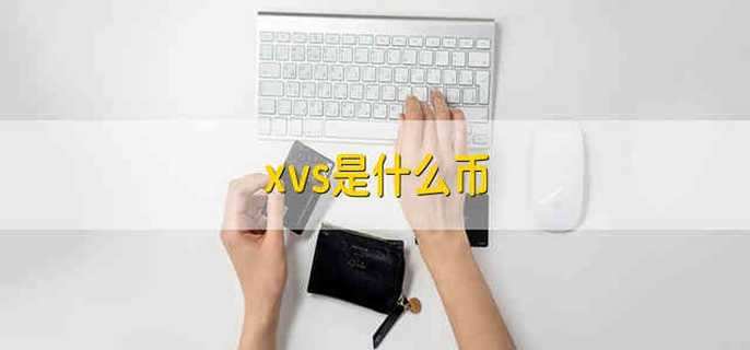 xvs是什么币